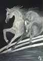 2012-11-11 Aneta Żarska - rysunki koni
